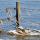 Snowmelt has caused all this wild flooding in the Midwest.